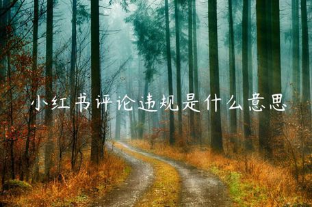 小紅書評論違規(guī)是什么意思